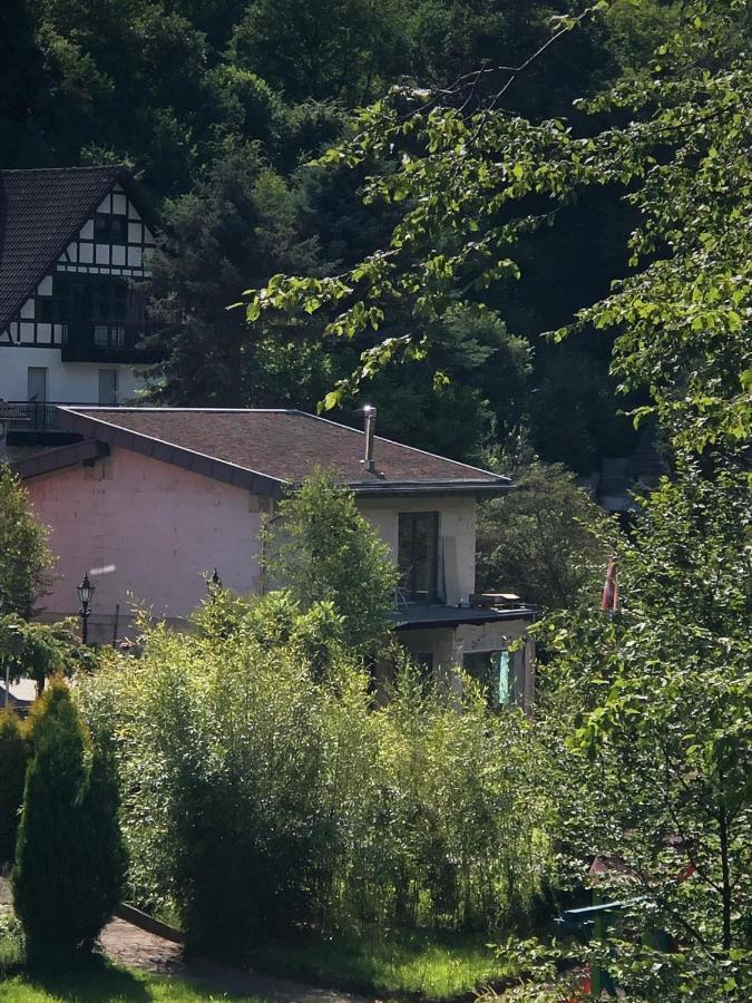 שליידן Ferienhaus Waldbaden Im Nationalpark Eifel- Am Bach מראה חיצוני תמונה