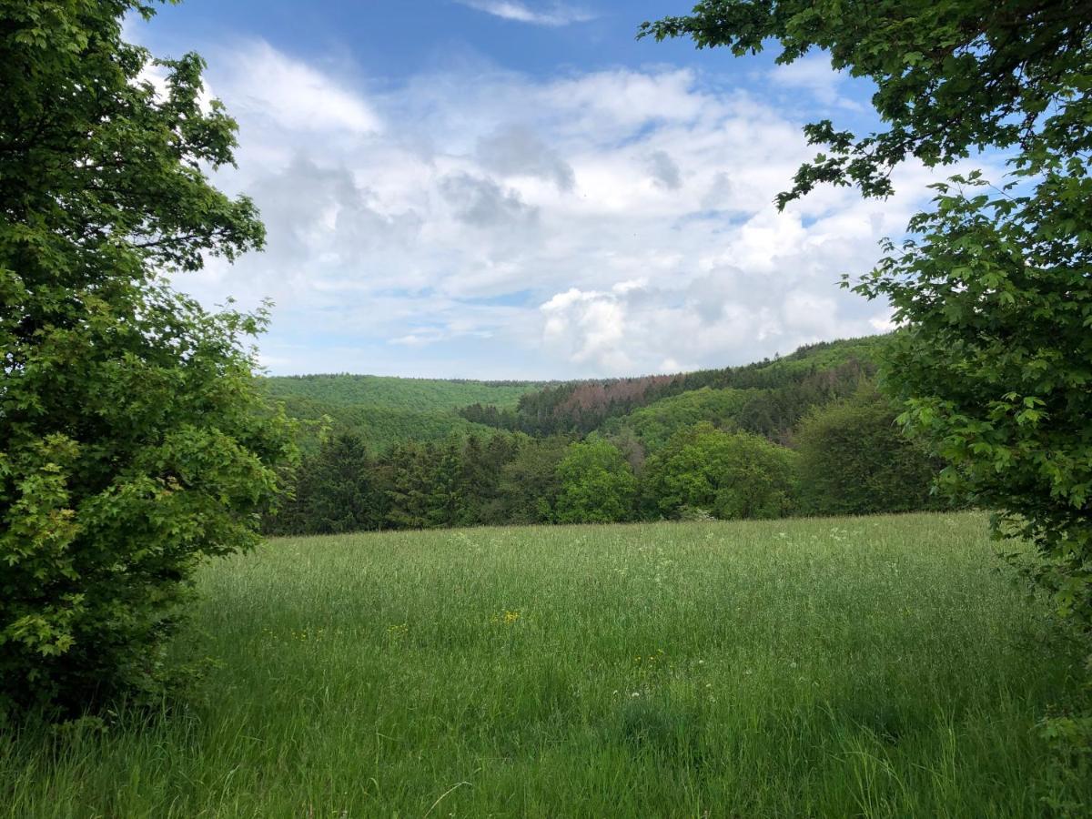 שליידן Ferienhaus Waldbaden Im Nationalpark Eifel- Am Bach מראה חיצוני תמונה