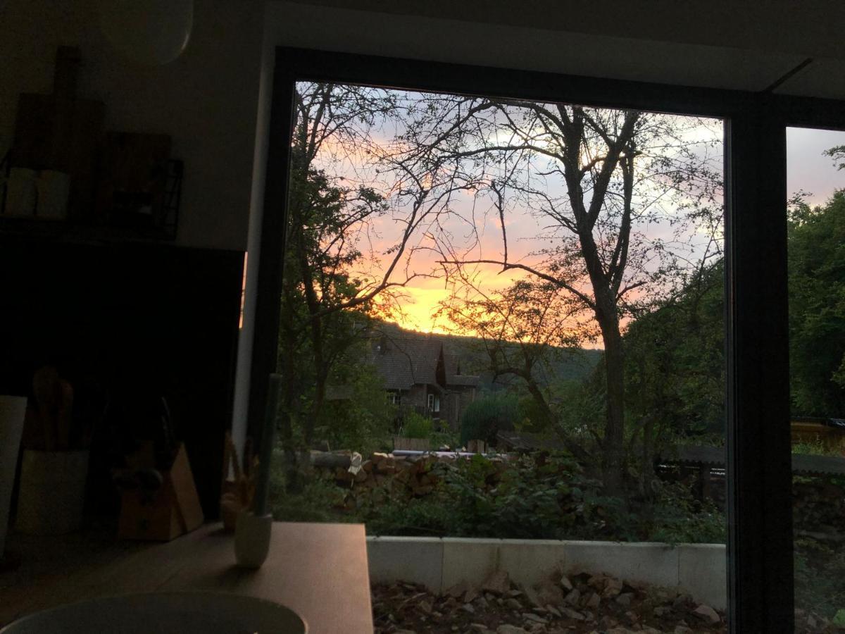 שליידן Ferienhaus Waldbaden Im Nationalpark Eifel- Am Bach מראה חיצוני תמונה