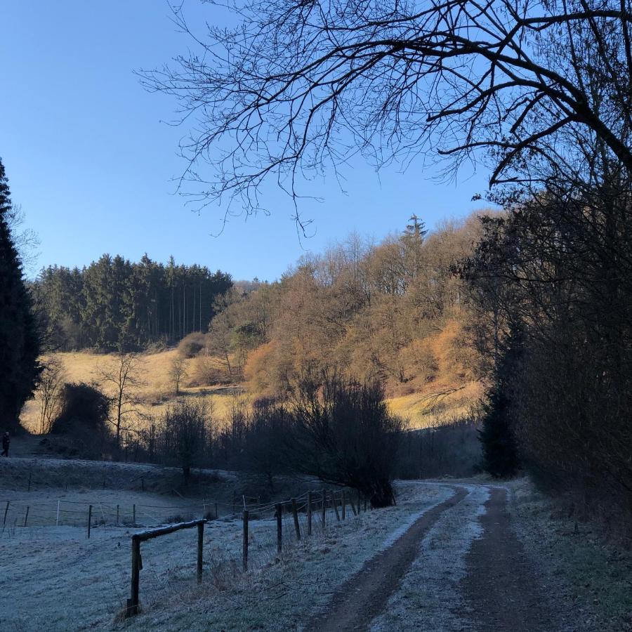 שליידן Ferienhaus Waldbaden Im Nationalpark Eifel- Am Bach מראה חיצוני תמונה