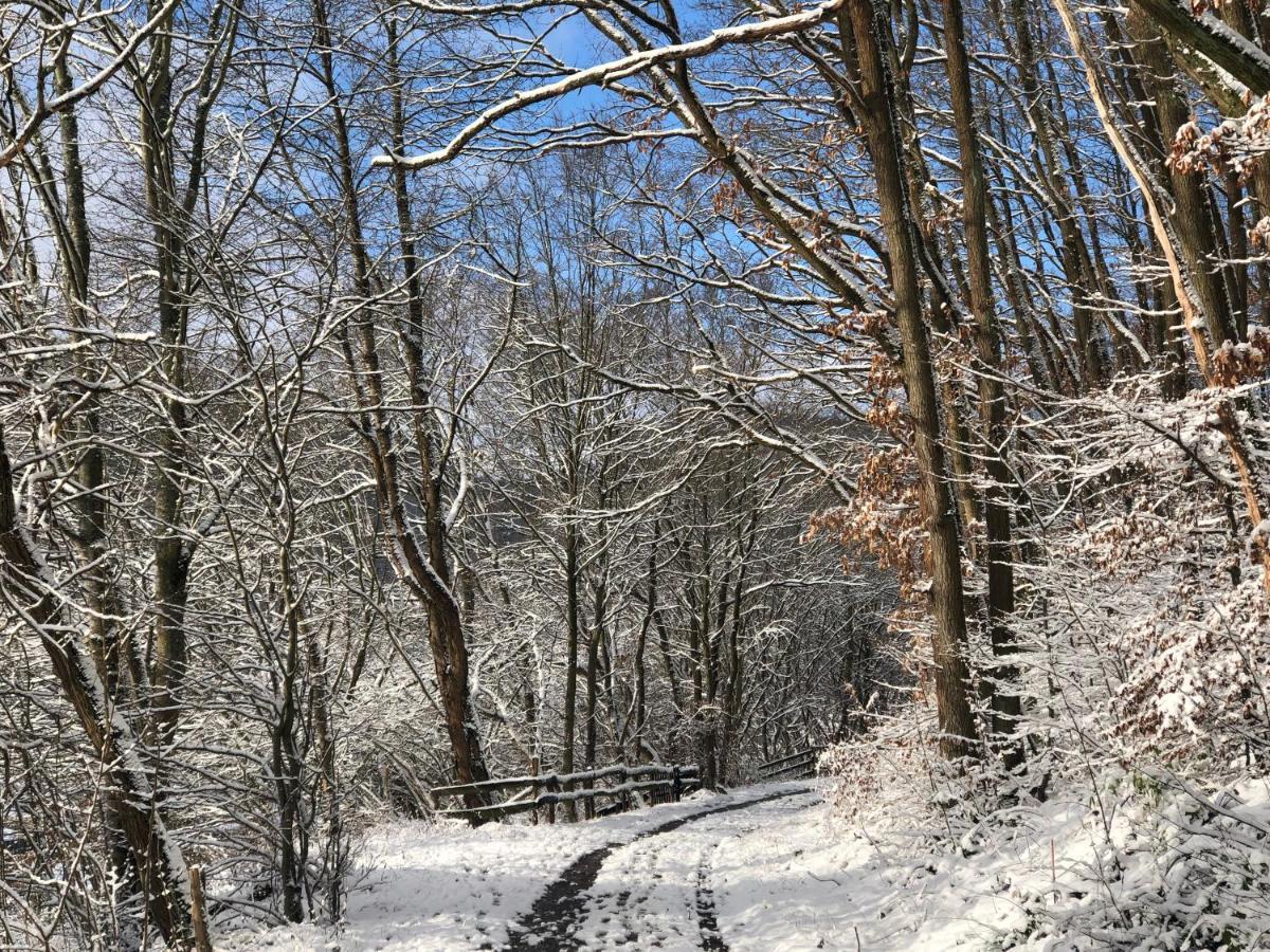 שליידן Ferienhaus Waldbaden Im Nationalpark Eifel- Am Bach מראה חיצוני תמונה