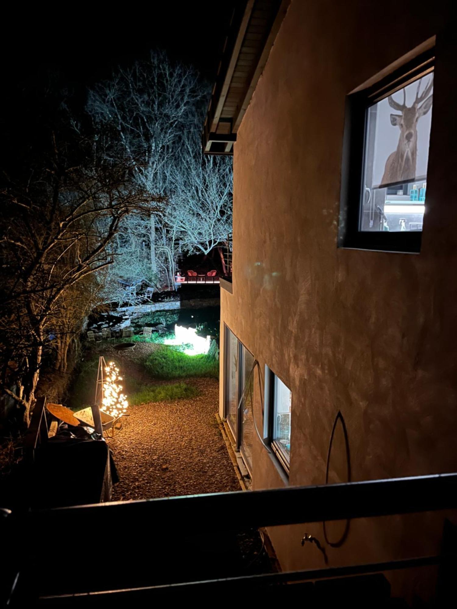 שליידן Ferienhaus Waldbaden Im Nationalpark Eifel- Am Bach מראה חיצוני תמונה